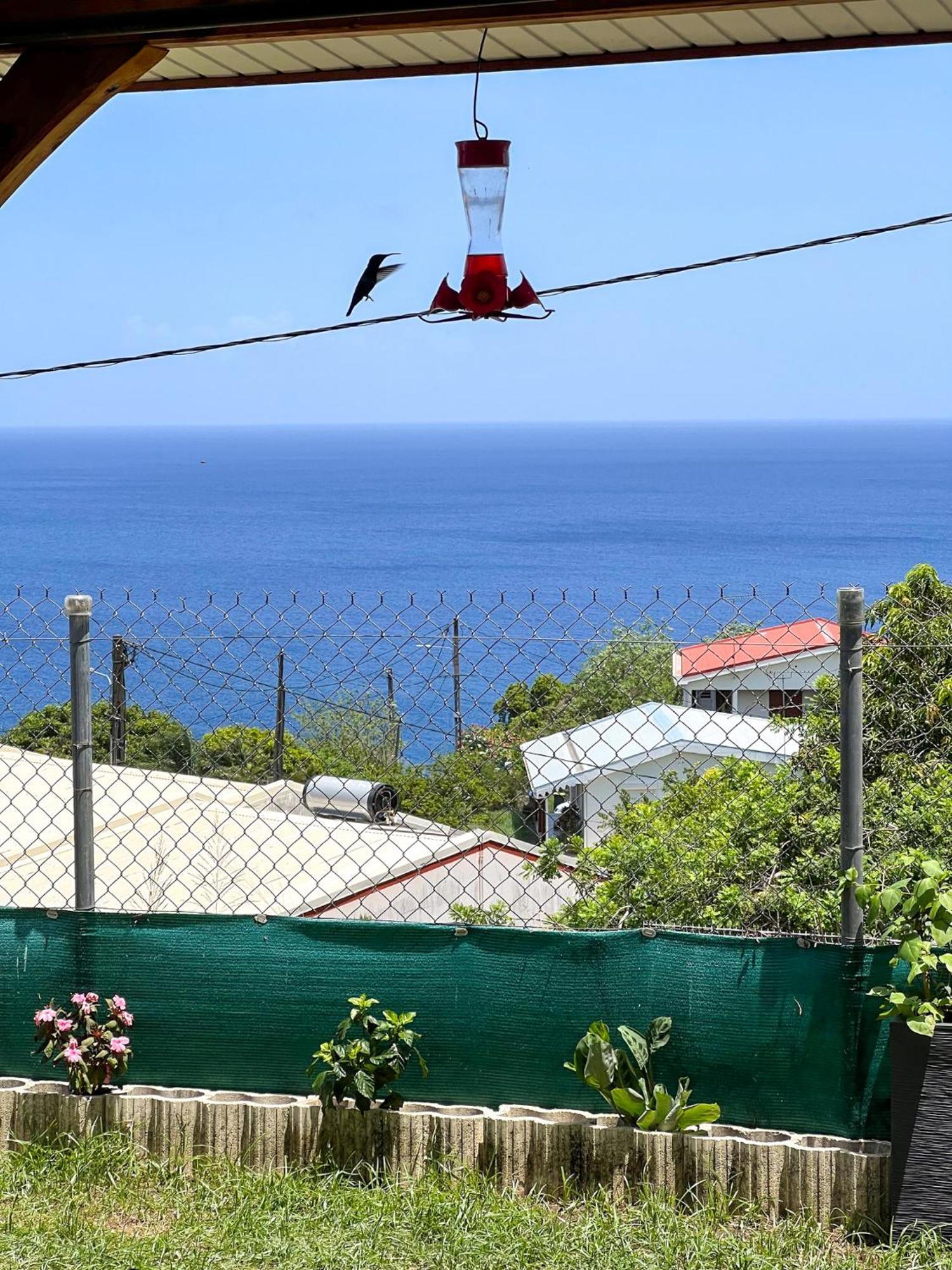 Casa Francois Villa Le Carbet Luaran gambar